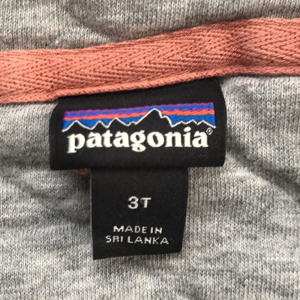 Patagonia Organic Hoody (size 3T)